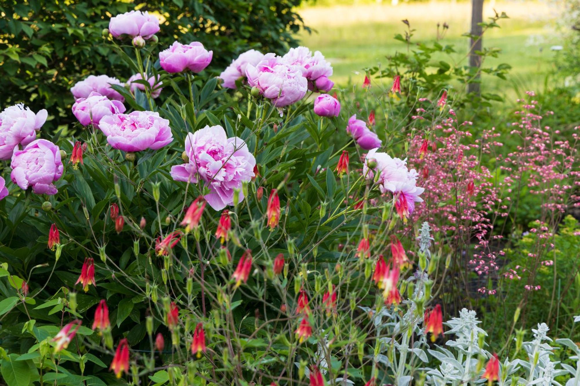 Maguire House Bed And Breakfast Ashburnham Εξωτερικό φωτογραφία