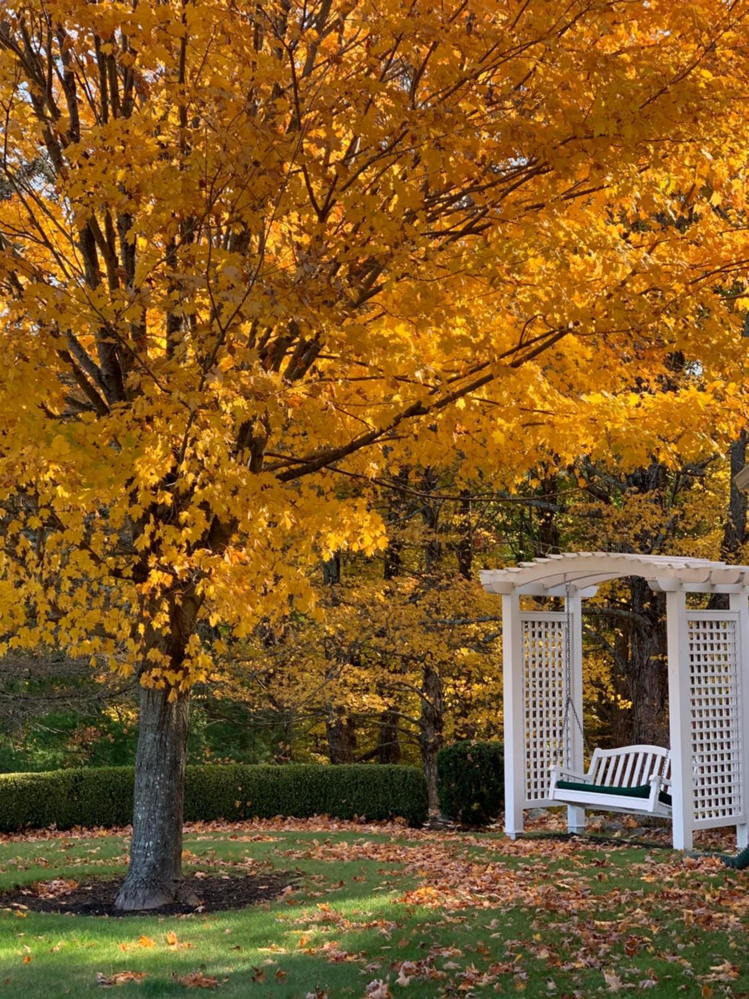 Maguire House Bed And Breakfast Ashburnham Εξωτερικό φωτογραφία