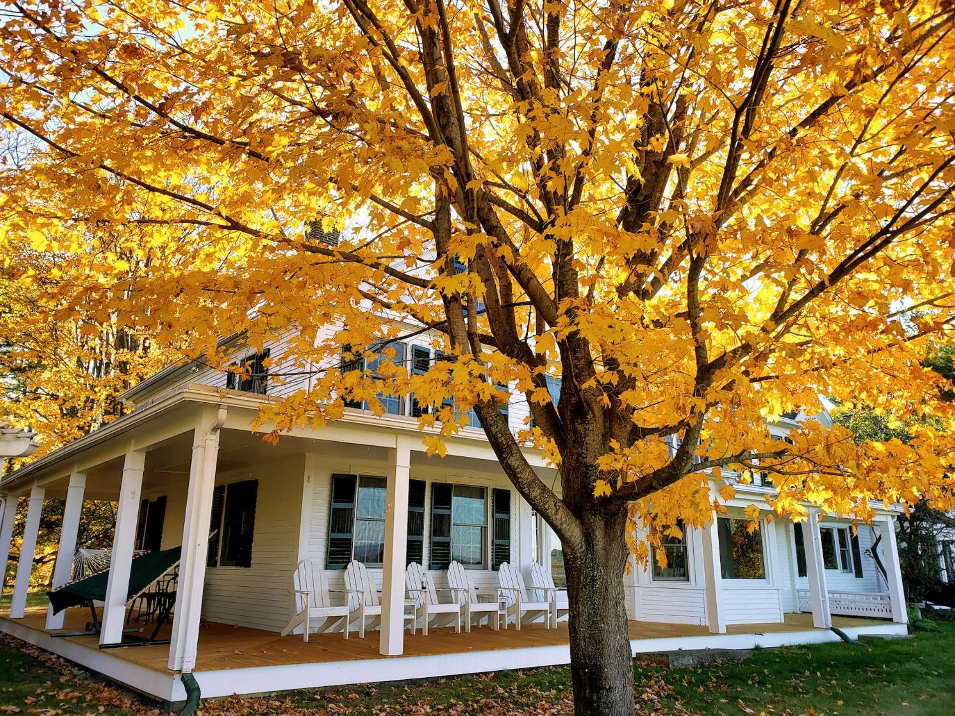 Maguire House Bed And Breakfast Ashburnham Εξωτερικό φωτογραφία